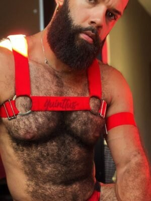Harness Prus Quinttus Vermelho