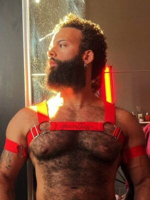 Harness Prus Quinttus Vermelho