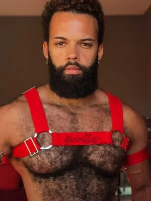Harness Prus Quinttus Vermelho
