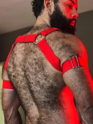 Harness Prus Quinttus Vermelho