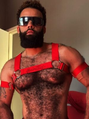 Harness Prus Quinttus Vermelho