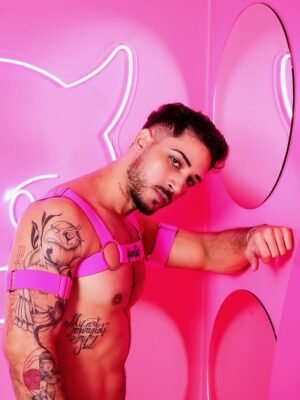 Harness Pink Prus Quinttus