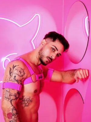 Harness Pink Prus Quinttus