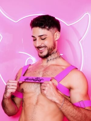 Harness Pink Prus Quinttus