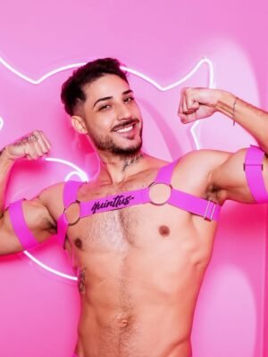 Harness Pink Prus Quinttus