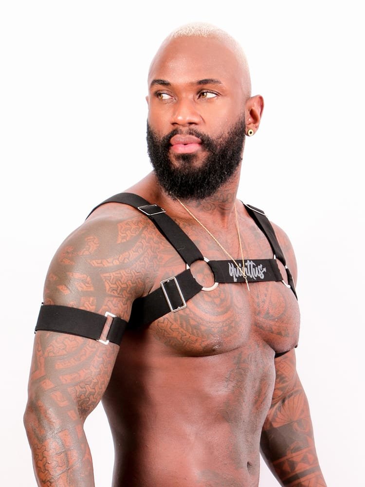 Harness Prus Quinttus